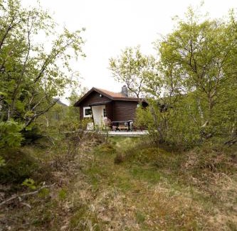 Barstrand Cabin | Haugteig