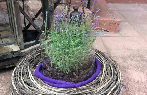 Bruchweiler-Baerenbach House | Haus am Kirchberg in Vita Garden