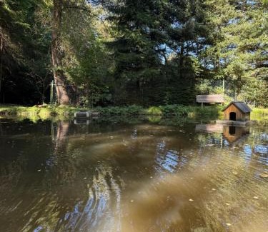 Bermel Apartment | Haus am See