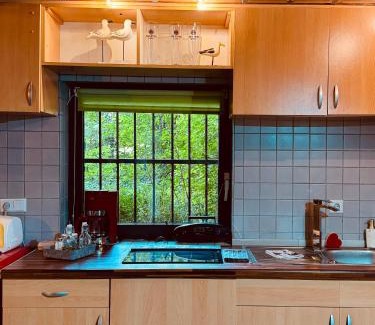 Bermel Apartment | Haus am See