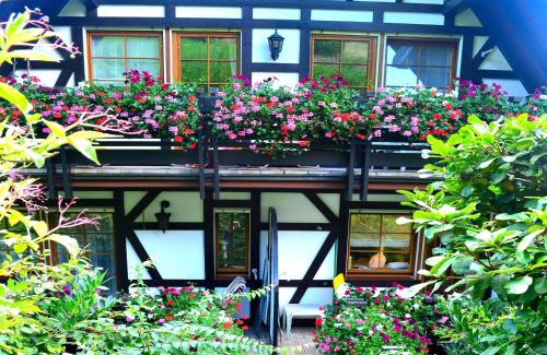 Sasbachwalden Apartment | Haus Bachschwalbe