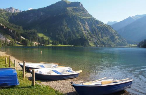 Graen Apartment | Haus Bergwelt