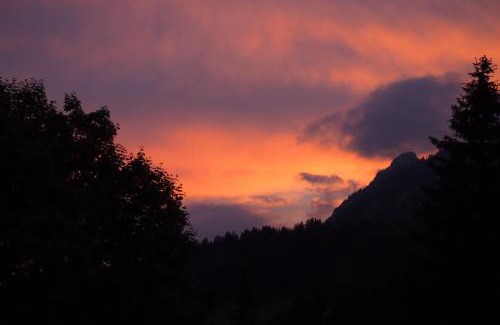 Graen Apartment | Haus Bergwelt