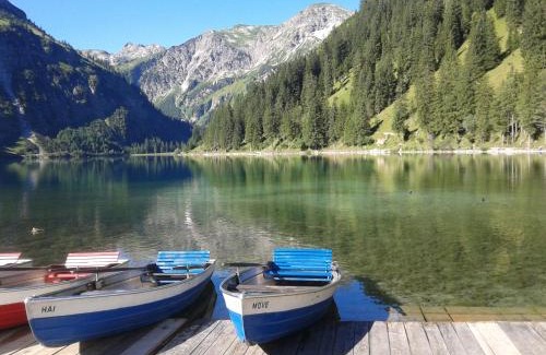 Graen Apartment | Haus Bergwelt