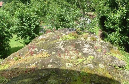 Kirchdorf im Wald Apartment | Haus Eschenberg