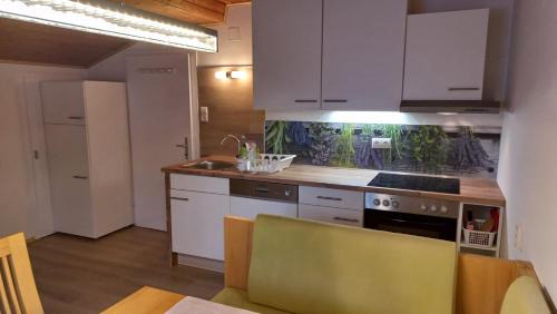Dorfgastein Apartment | Haus Knapp FeWo Gastein