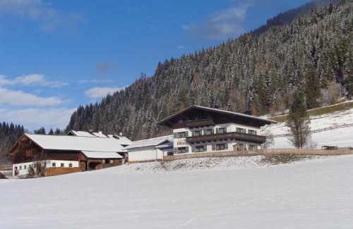 Flachau Apartment | Haus Ottilie