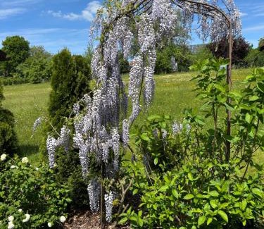 Kneisting Apartment | Haus Wiesenblick