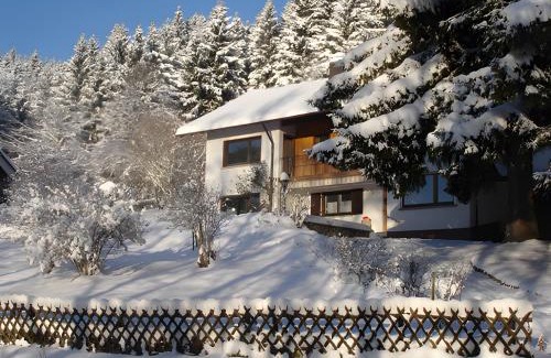 Falkau Apartment | Haus Wintersonne