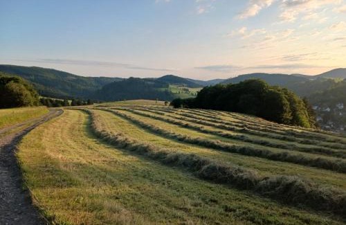 Schwalefeld House | Hausamaarbach