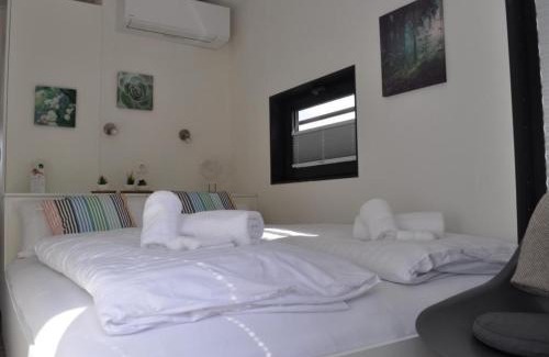 Godelheim Boat Rental | Hausboot Scarlett - LP5