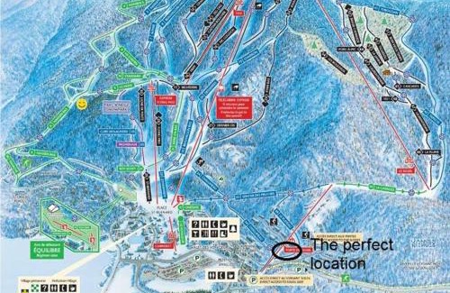 Mont-Tremblant House | Hauts-bois Ski Inout 2brs Wpool Access 197-4