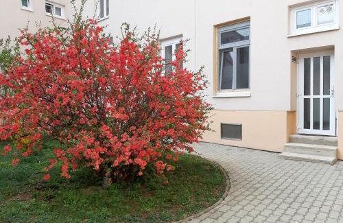 Eisenstadt Apartment | Haydnsuite