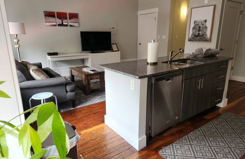 Monroe Ward Condo | Heart of the Arts District RVA New King Suite near MCV VCU Convention Center