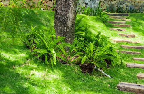 Mawanella Cabin | Heliconia Ledge