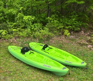 Mandeville Ski Chalet | Henö