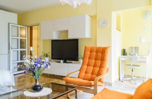 Aviatiei Apartment | Herastrau Arancia Studio - Business District