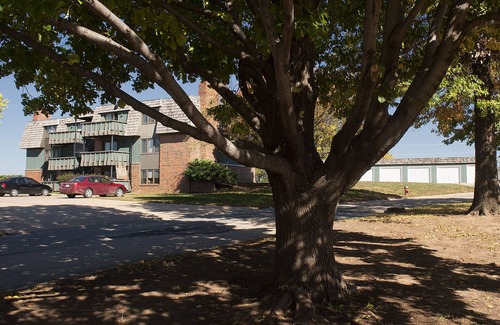 Manhattan Apartment | Heritage Suites 15