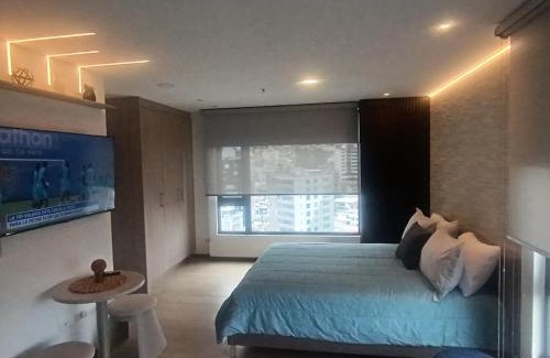 La Carolina Apartment | Hermoso Estudio en la carolina Piso 13 con vista!