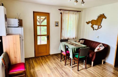 Izvoare House | Hestur Ivo