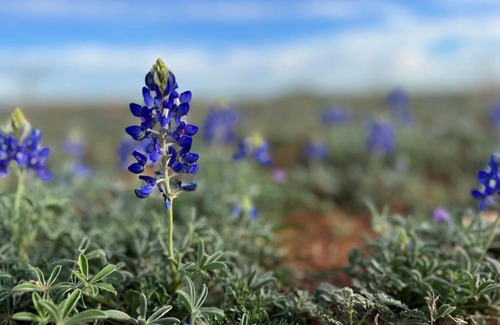 Llano House | Hickory Ridge Hideaway Cabin - Romantic, Peaceful