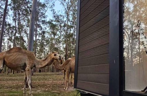 Glenwood House | Hidden Camp's Tiny House by Tiny Away