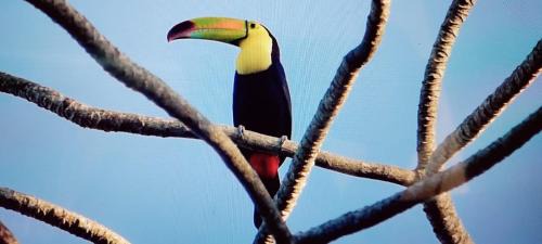 Sanctuary Belize House | Hidden Paradise Belize