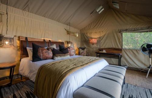 Phalaborwa Other | Hideaways Amava River Lodge, Balule, Greater Kruger