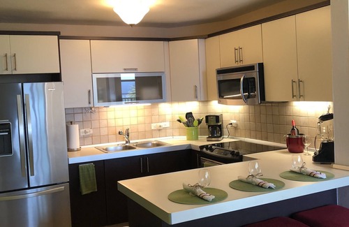 Borinquen Condo | High atop the BLUFF Overlooking Spectacular Ocean View of Crashboat Beach at PDM