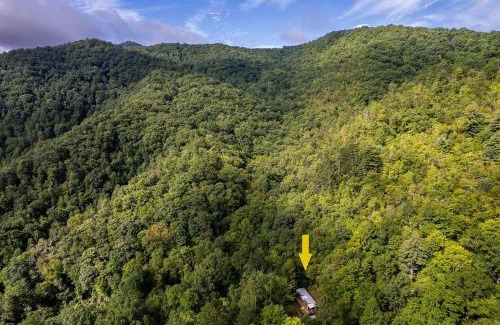 Robbinsville House | High Hollow Cottage Modern Tiny Home with Hot Tub