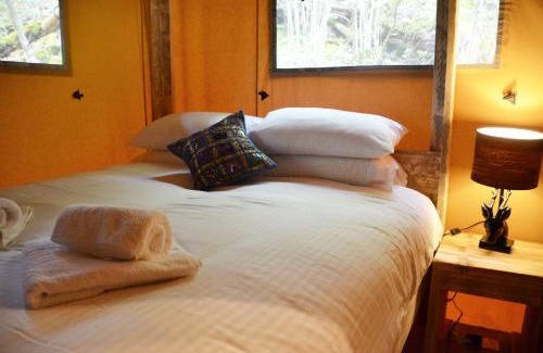 Low Newton Other | Hill Of Oaks