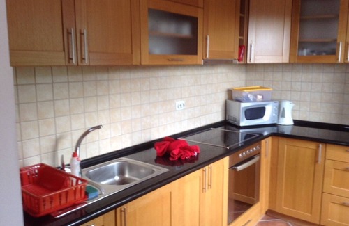 Mrcevac Apartment | Hillside apartment with stunning views of sea and mountains, sea 2 km, pool
