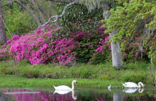Wilmington Hotel | Hilton Garden Inn Wilmington Mayfaire Town Center