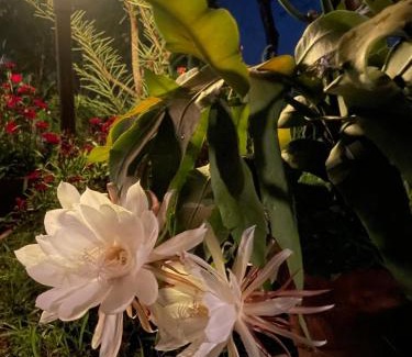 Lekhnath House | Himalaya Serene View Guest House & Farm Stay