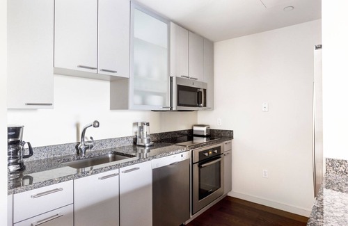 West End Apartment | Hip North Station 2BR w/W/D, Terrace & Gym, nr TD Garden, by Blueground