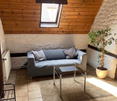 Siedelsbrunn House | Hirschhaus