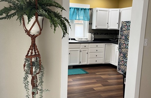 Appleton House | Historic City Park home within walking distance to all downtown has to offer!