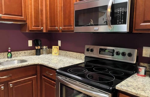 Downtown Richmond Apartment | Historic, modern, downtown.