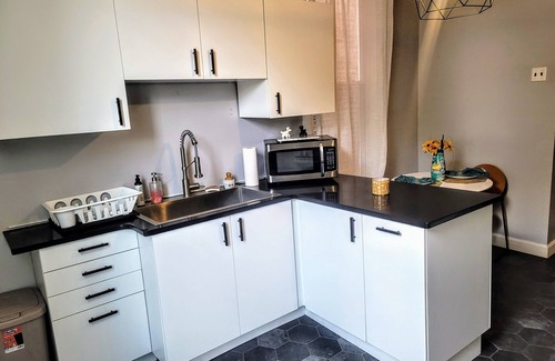 Tower Grove East House | Historic STL brick home in amazing Tower Grove Park neighborhood. Pet-friendly!