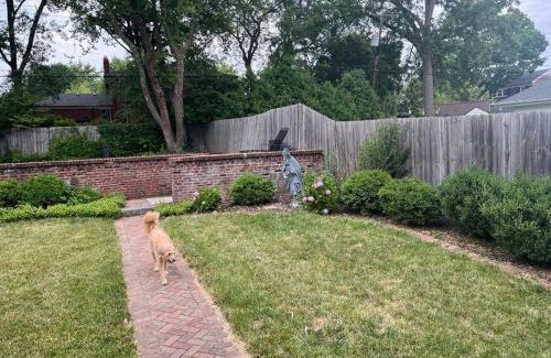 South Bend House | Historic Wayne Street - close to the Stadium