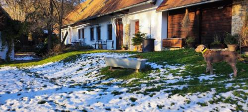 Podbranc House | Historický objekt Ailit