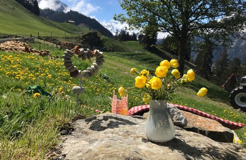 Frutigen Ski Chalet | Hofuri, Voralp