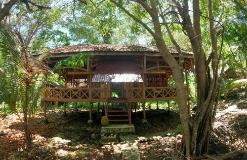 Hoga Island Resort | Hoga Island Dive Resort