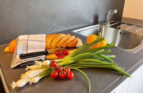 Waggershausen Apartment | Holiday Apartment 'Zeppelin N T' with Private Terrace, Shared Garden and Wi-Fi