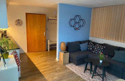 Willigen Apartment | Holiday apartment Schattenhalb for 1 - 4 persons with 1 bedroom - Holiday apartment in one or multi-