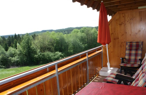Elzach Apartment | Holiday Apartment 'Herrschaftssitz' with Shared Terrace, Shared Garden and Wi-Fi