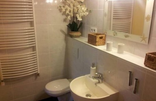 Mainz-Bingen Apartment | Holiday apartment Oberdiebach for 1 - 2 persons with 1 bedroom - Holiday apartment