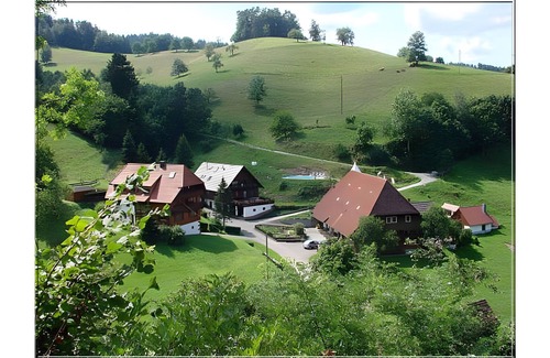 Kirnbach Apartment | Holiday Apartment 'Vogelnest' with Mountain View, Shared Pool and Wi-Fi