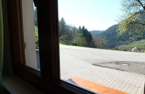 Bad Peterstal-Griesbach Apartment | Holiday Apartment 'Bergblick' with Mountain View, Shared Terrace and Wi-Fi