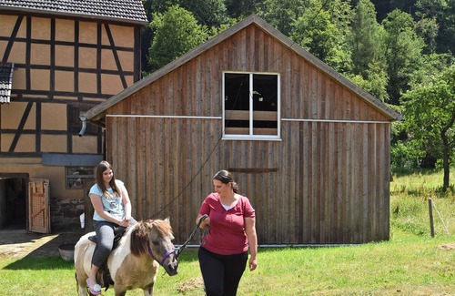 Bad Wildungen Apartment | Holiday farm situated next to the Kellerwald-Edersee national park with a sunbathing lawn
